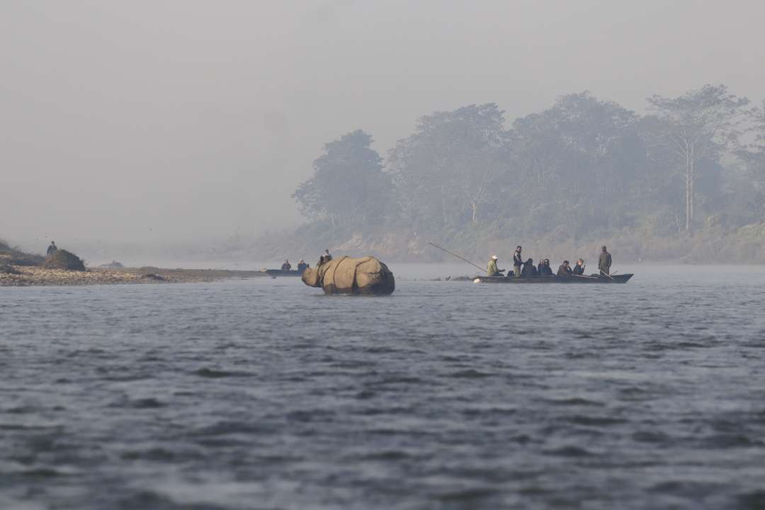 LONG CANOE BIRD WATCHING TRIP