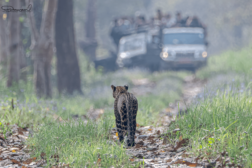 Study In New Zealand Image