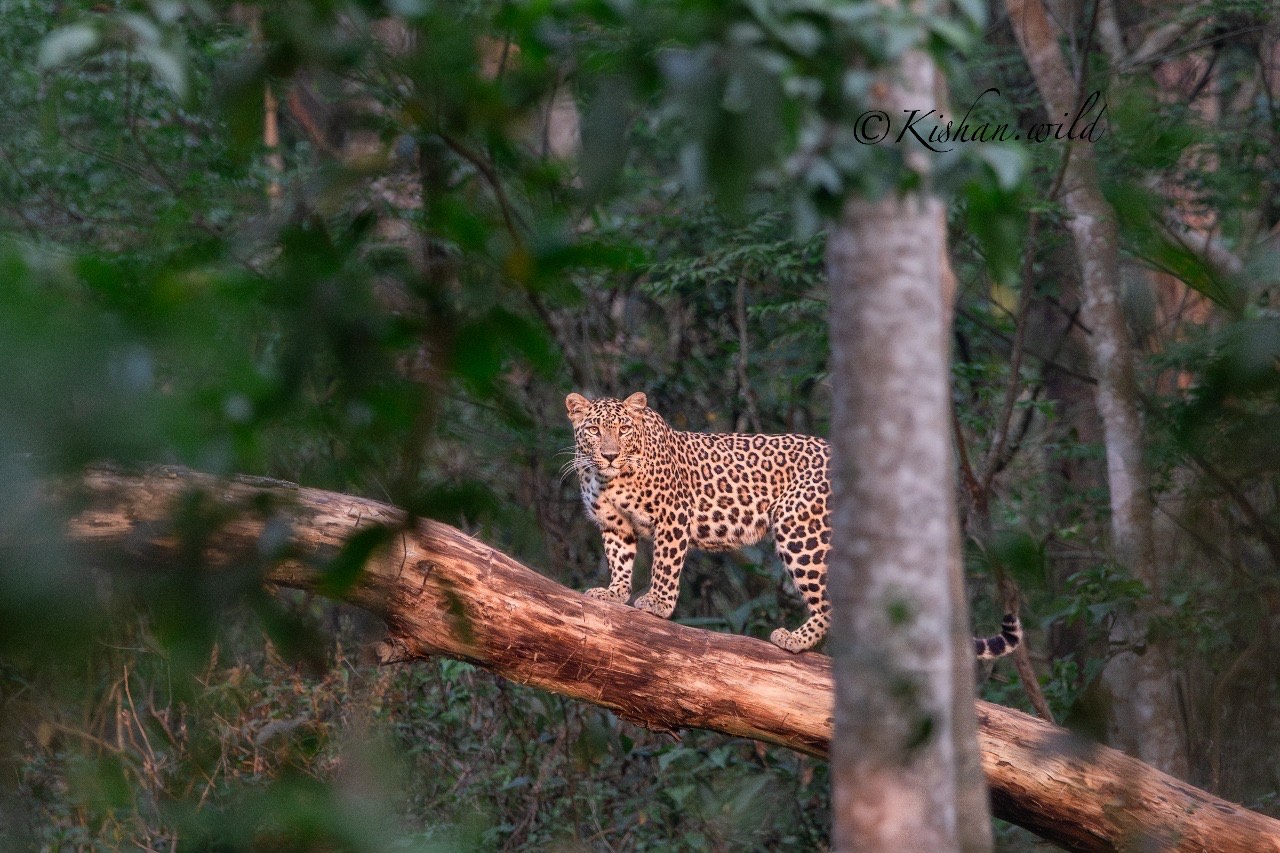 Study In New Zealand Image