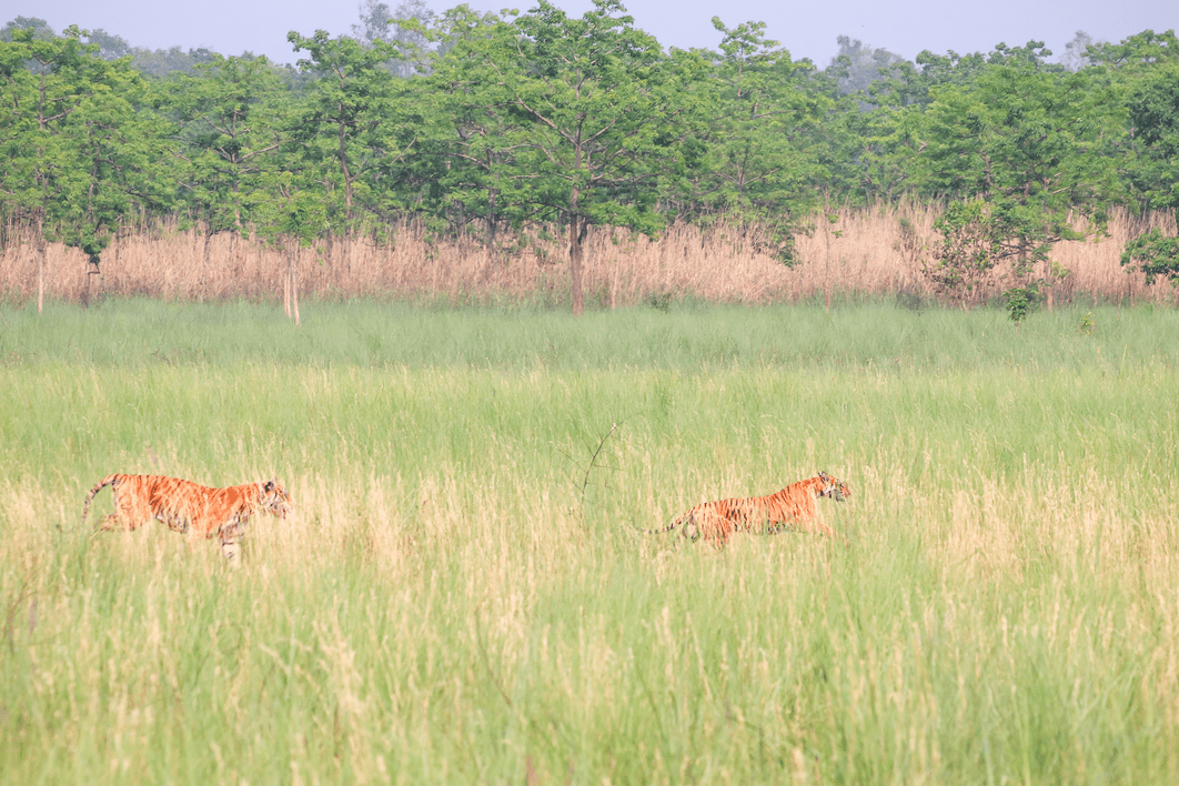 Study in Japan Image