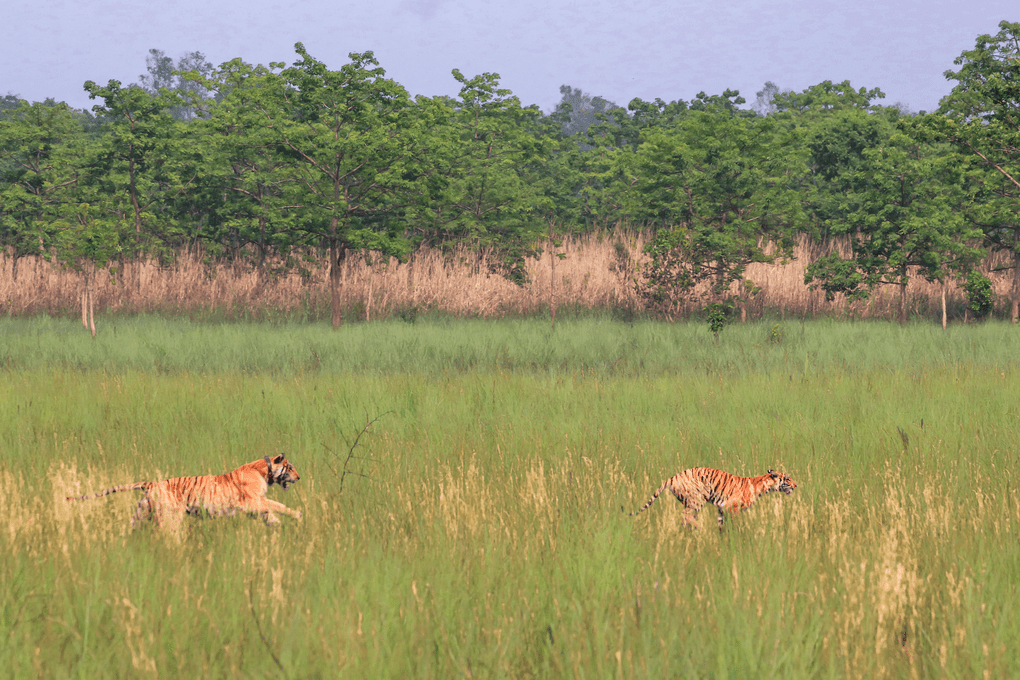 Study In Germany Image